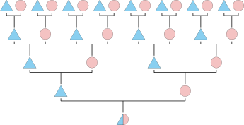 FamilyFinder DNA transmission