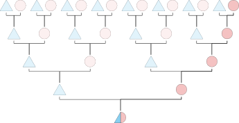 mtDNA transmission